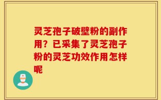 灵芝孢子破壁粉的副作用？已采集了灵芝孢子粉的灵芝功效作用怎样呢
