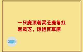 一只鹿顶着灵芝鹿角扛起灵芝，惊艳百草原