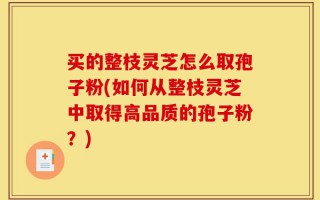 买的整枝灵芝怎么取孢子粉(如何从整枝灵芝中取得高品质的孢子粉？)
