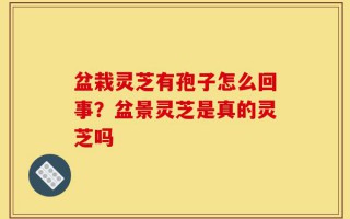 盆栽灵芝有孢子怎么回事？盆景灵芝是真的灵芝吗