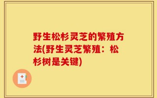 野生松杉灵芝的繁殖方法(野生灵芝繁殖：松杉树是关键)