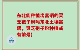 东北能种植出富硒的灵芝孢子粉吗东北土壤富硒，灵芝孢子粉种植或有前景)