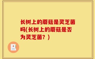 长树上的蘑菇是灵芝菌吗(长树上的蘑菇是否为灵芝菌？)