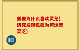 狐狸为什么喜欢灵芝(研究发现狐狸为何迷恋灵芝)