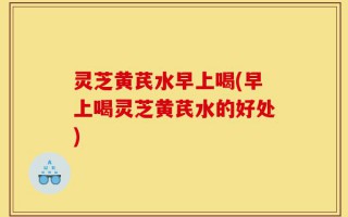 灵芝黄芪水早上喝(早上喝灵芝黄芪水的好处)