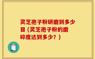 灵芝孢子粉研磨到多少目 (灵芝孢子粉的磨碎度达到多少？)