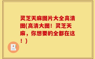 灵芝天麻图片大全高清图(高清大图！灵芝天麻，你想要的全都在这！)