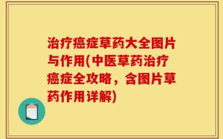 治疗癌症草药大全图片与作用(中医草药治疗癌症全攻略，含图片草药作用详解)
