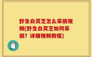 野生白灵芝怎么采摘视频(野生白灵芝如何采摘？详细视频教程)
