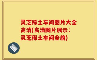 灵芝稀土车间图片大全高清(高清图片展示：灵芝稀土车间全貌)
