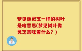 梦见像灵芝一样的树叶是啥意思(梦见树叶像灵芝意味着什么？)