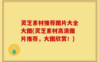 灵芝素材推荐图片大全大图(灵芝素材高清图片推荐，大图欣赏！)