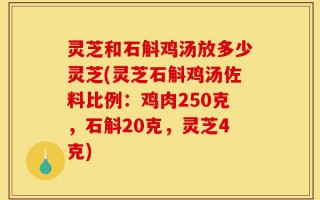 灵芝和石斛鸡汤放多少灵芝(灵芝石斛鸡汤佐料比例：鸡肉250克，石斛20克，灵芝4克)