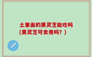 土里面的黑灵芝能吃吗(黑灵芝可食用吗？)