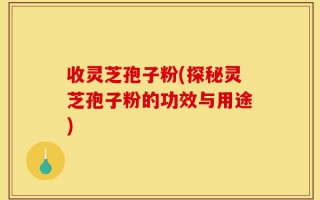 收灵芝孢子粉(探秘灵芝孢子粉的功效与用途)