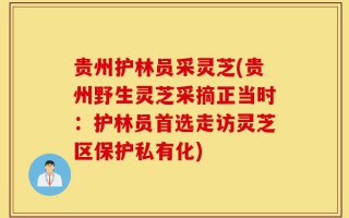 贵州护林员采灵芝(贵州野生灵芝采摘正当时：护林员首选走访灵芝区保护私有化)