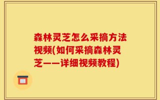 森林灵芝怎么采摘方法视频(如何采摘森林灵芝——详细视频教程)