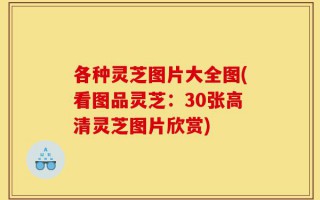 各种灵芝图片大全图(看图品灵芝：30张高清灵芝图片欣赏)