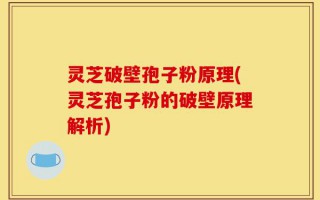 灵芝破壁孢子粉原理(灵芝孢子粉的破壁原理解析)