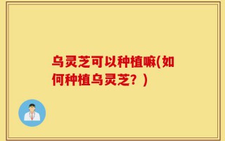 乌灵芝可以种植嘛(如何种植乌灵芝？)