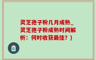 灵芝孢子粉几月成熟_灵芝孢子粉成熟时间解析：何时收获最佳？)