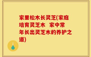 家里松木长灵芝(家庭培育灵芝木  家中常年长出灵芝木的养护之道)