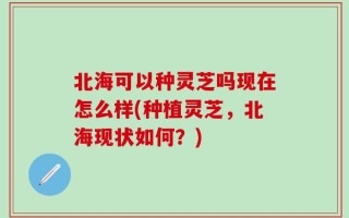 北海可以种灵芝吗现在怎么样(种植灵芝，北海现状如何？)