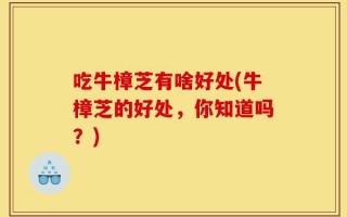 吃牛樟芝有啥好处(牛樟芝的好处，你知道吗？)