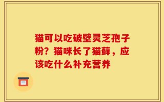 猫可以吃破壁灵芝孢子粉？猫咪长了猫藓，应该吃什么补充营养