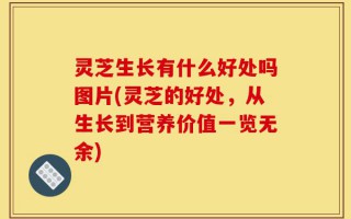 灵芝生长有什么好处吗图片(灵芝的好处，从生长到营养价值一览无余)