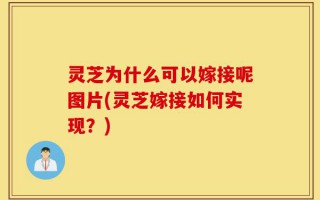 灵芝为什么可以嫁接呢图片(灵芝嫁接如何实现？)