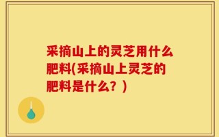 采摘山上的灵芝用什么肥料(采摘山上灵芝的肥料是什么？)