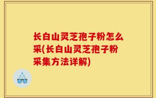 长白山灵芝孢子粉怎么采(长白山灵芝孢子粉采集方法详解)