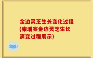 金边灵芝生长变化过程(柬埔寨金边灵芝生长演变过程展示)