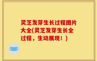 灵芝发芽生长过程图片大全(灵芝发芽生长全过程，生动展现！)