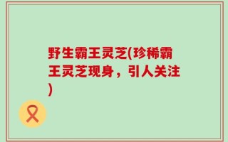 野生霸王灵芝(珍稀霸王灵芝现身，引人关注)