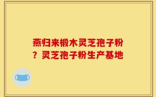 燕归来椴木灵芝孢子粉？灵芝孢子粉生产基地
