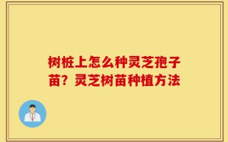 树桩上怎么种灵芝孢子苗？灵芝树苗种植方法