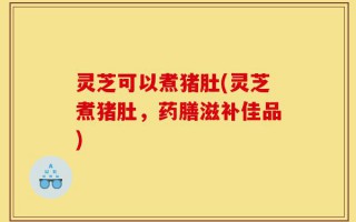 灵芝可以煮猪肚(灵芝煮猪肚，药膳滋补佳品)