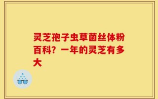 灵芝孢子虫草菌丝体粉百科？一年的灵芝有多大