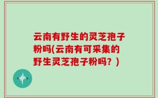 云南有野生的灵芝孢子粉吗(云南有可采集的野生灵芝孢子粉吗？)