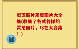 灵芝照片采集图片大全集(收集了各式各样的灵芝图片，尽在大合集！)