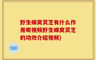 野生蜂窝灵芝有什么作用呢视频野生蜂窝灵芝的功效介绍视频)
