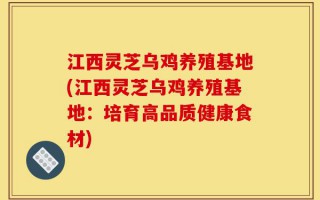 江西灵芝乌鸡养殖基地(江西灵芝乌鸡养殖基地：培育高品质健康食材)