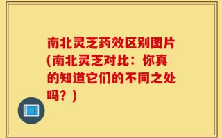 南北灵芝药效区别图片(南北灵芝对比：你真的知道它们的不同之处吗？)