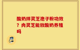 酸奶拌灵芝孢子粉功效？肉灵芝能放酸奶养殖吗