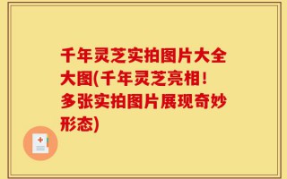 千年灵芝实拍图片大全大图(千年灵芝亮相！多张实拍图片展现奇妙形态)