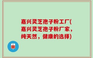 嘉兴灵芝孢子粉工厂(嘉兴灵芝孢子粉厂家，纯天然，健康的选择)