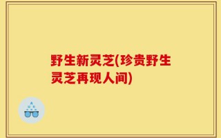 野生新灵芝(珍贵野生灵芝再现人间)