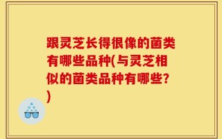 跟灵芝长得很像的菌类有哪些品种(与灵芝相似的菌类品种有哪些？)